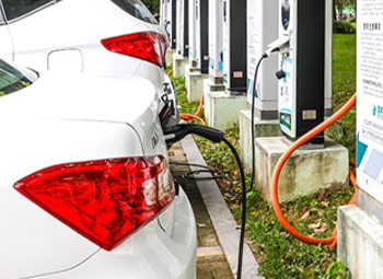 圓振動(dòng)篩客戶使用現(xiàn)場